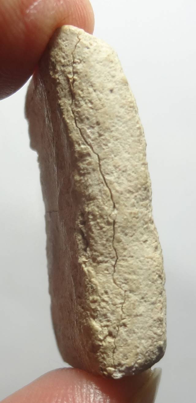 : สมเด็จกรุวัดชนะสงคราม