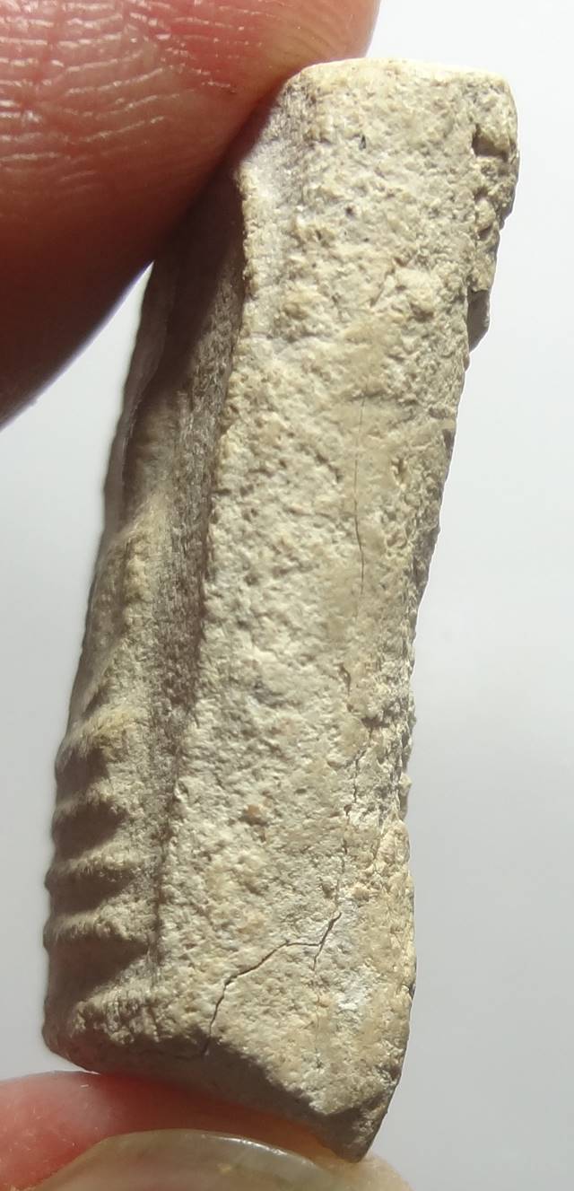 : สมเด็จกรุวัดชนะสงคราม