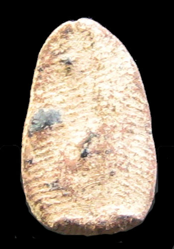 พระพิจิตร ผงดำ เกศตรง กรุวัดพระศรีฯ จ.พิจิตร 