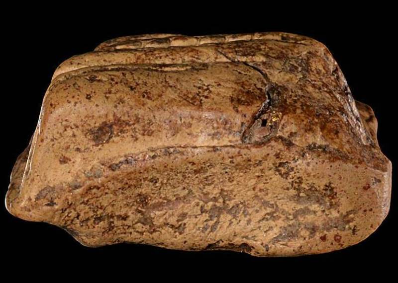 พระคงลำพูนกรุเก่า เนื้อสวยจัดจ้านองค์ล่ำ โพธิ์เด้ง ฟอร์มสวย หายากครับ