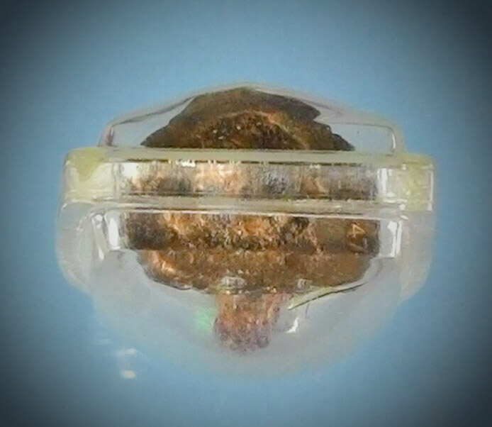 รูปหล่อปู่เสือ หลวงปู่กาหลงเขี้ยวแก้ว ออกวัดสุทัศน์