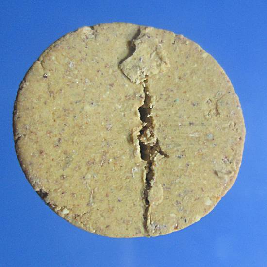 หนุมานทาทอง เนื่อผงชมภูนุช ปี 43 ออกวัดซับลำไย หลวงปู่หมุนปลุกเสก