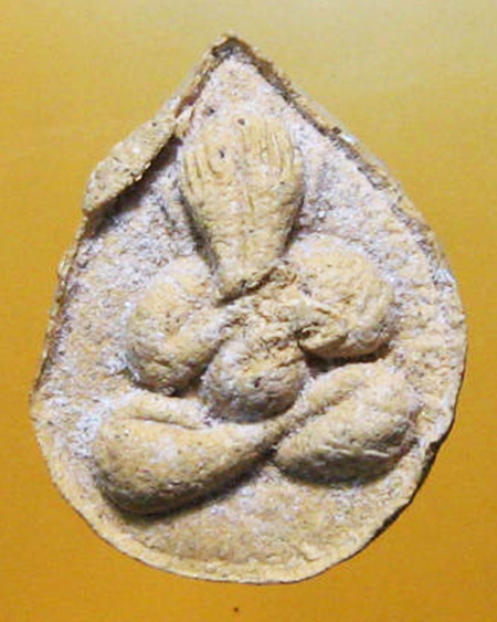 หลวงพ่อสาคร มนุญโญ วัดหนองกรับ จ.ระยอง ( ศิษย์เอกหลวงปู่ทิม วัดระหารไร่ )