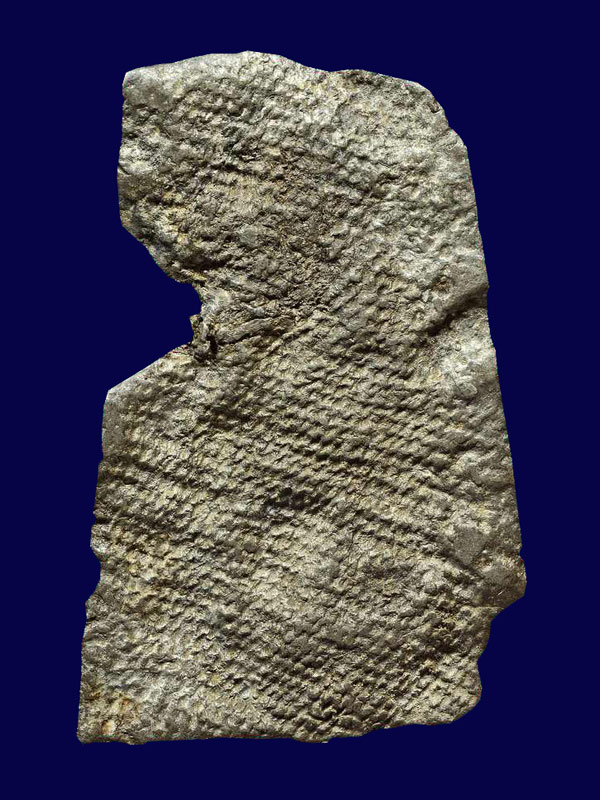 ปรกโพธิ์ กรุวัดราชบูรณะ เนื้อชินเงิน จ.พระนครศรีอยุธยา