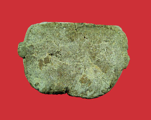 พระปิดตาพิมพ์ตุ๊กตา หลวงปู่โต๊ะ ออกวัดศาลาครืน เนื้อเกสร ปี 2522