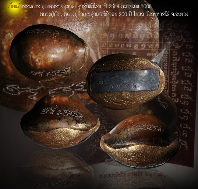 เบี้ยแก้กรรมการ อุดผงพรายกุมารคลุกรักชันโรง  ปี 54 หลวงปู่บัว ปลุกเสก .. 1 ..