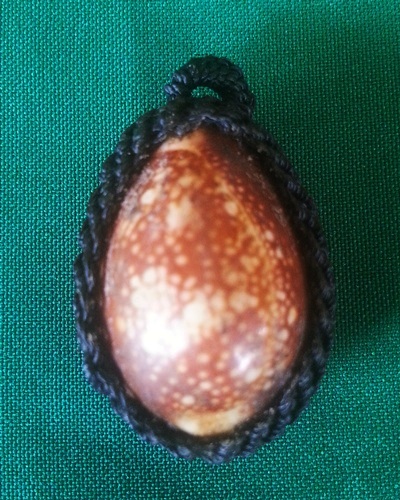 เบี้ยแก้ รุ่น2 ปี54 หลวงพ่อสาคร วัดหนองกรับ 