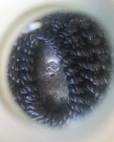 เบี้ยแก้ รุ่น2 ปี54 หลวงพ่อสาคร วัดหนองกรับ 