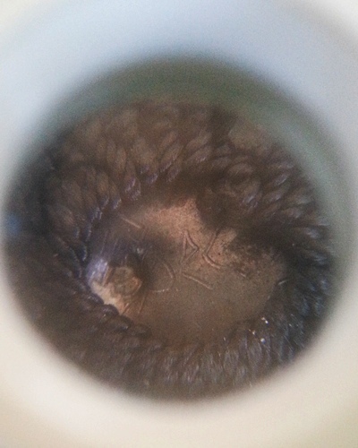 เบี้ยแก้ รุ่น2 ปี54 หลวงพ่อสาคร วัดหนองกรับ สร้าง 9000ตัว //2