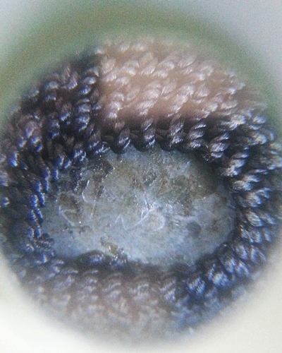 เบี้ยแก้ รุ่น2 ปี54 หลวงพ่อสาคร วัดหนองกรับ สร้าง 9000ตัว //3