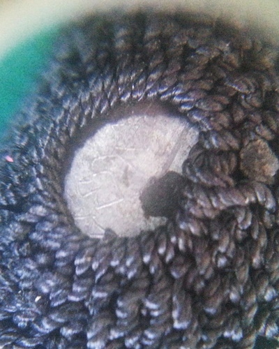 เบี้ยแก้ รุ่น2 ปี54 หลวงพ่อสาคร วัดหนองกรับ สร้าง 9000ตัว//4 