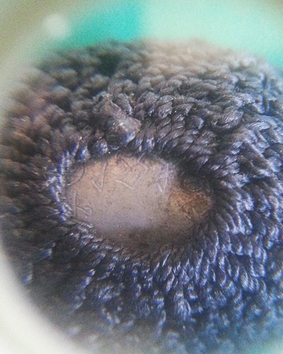 เบี้ยแก้ รุ่น2 ปี54 หลวงพ่อสาคร วัดหนองกรับ สร้าง 9000ตัว //5