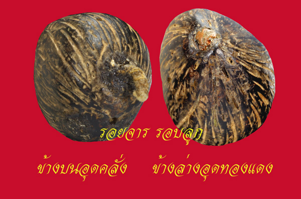 ไม่ทราบว่าเขาเรียกว่าอะไร..
