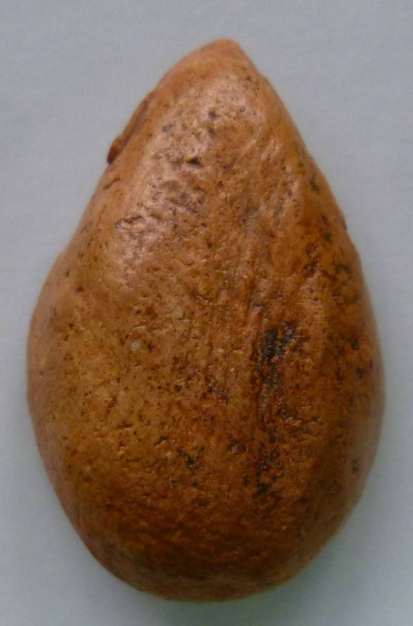 พระสังกัจจายน์ กรุน้ำมนต์ สุโขทัย