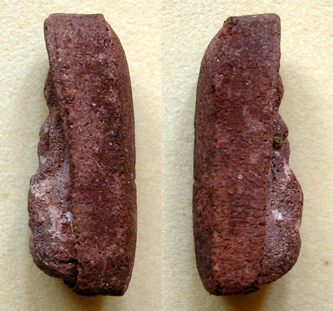 พระรอด เนื้อผงผสมชานหมาก หลวงพ่ออุ้น วัดตาลกง ปี43