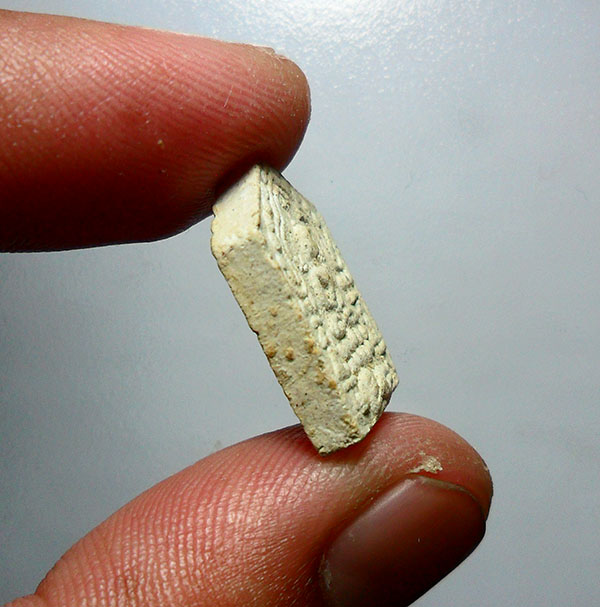  ขุนแผน หลวงพ่อสาคร ปี43 พิมพ์เล็ก พิเศษตอกโค้ตเฑาะว์ หายากมากครับ