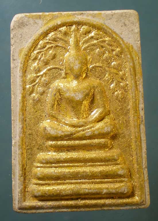 ปรกโพธิ์ หลังอุ หลวงปู่เหรียญ วัดอรัญญบรรพต
