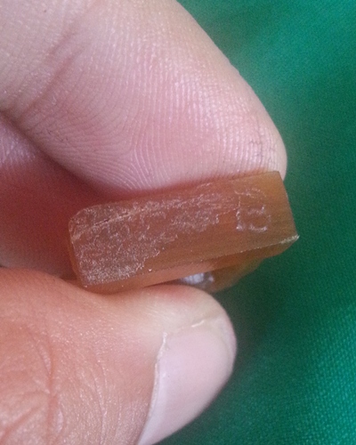 แพะเขาควายเผือก หลวงพ่อสิน วัดละหารใหญ่ ระยอง