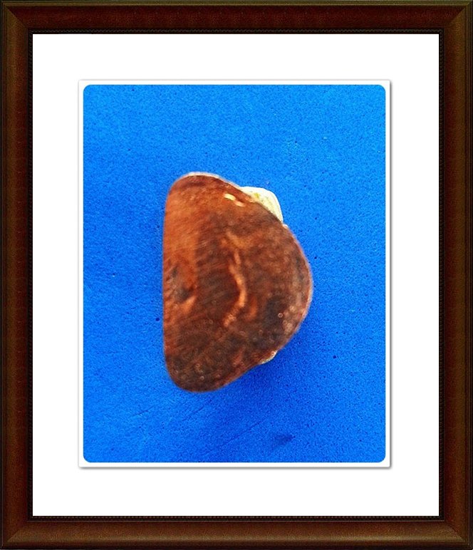 รูปหล่อเจ้าแม่กวนอิม พันกร