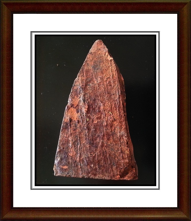 พระโคนสมอ อยุธยา 