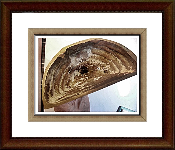 พระบูชา หลวงพ่อโสธร