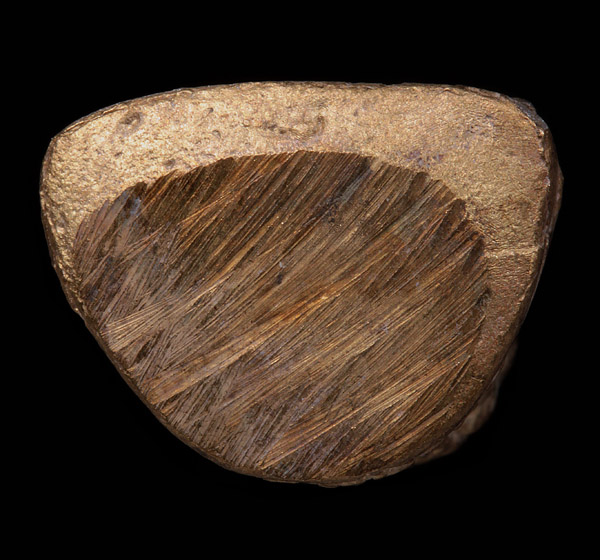 + หล่อโบราณนั่งอวยพรรุ่นแรก!!! พ่อท่านเอื้อม วัดบางเนียน +