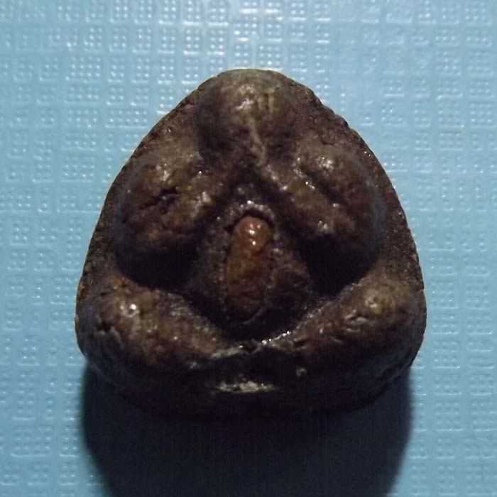 พระปิดตาหลวงพ่อคง วัดวังสรรพรส ฝังข้าวสารหิน  หายาก