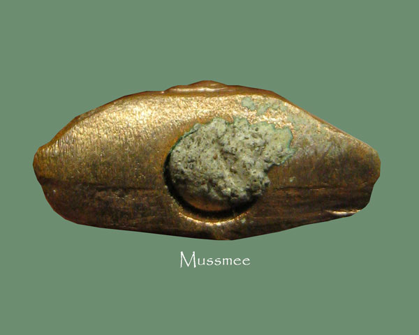 @@@ พระชัยวัฒน์ ปี 2500 หลวงพ่อลี วัดอโศการาม (ผงเด็ม) พระสวยยยยยยยยยยยยยยย### เคาะเดียว ### @@@