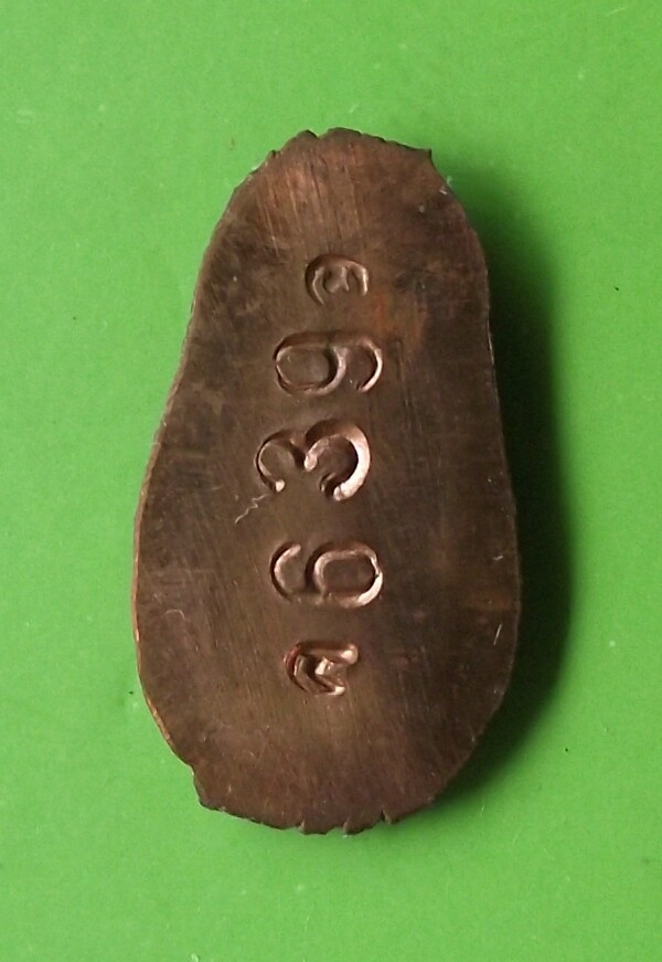 ปรกไม่ตัดปีก หลวงพ่อสาคร 2548