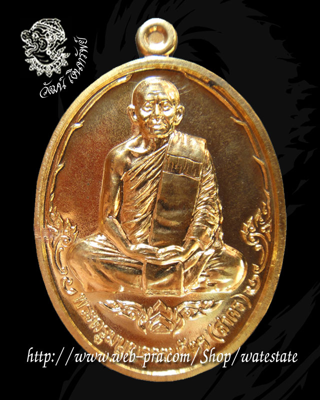 เหรียญบารมี 53 หลวงพ่อสาคร วัดหนองกรับ เนื้อทองสวิส หมายเลข 256