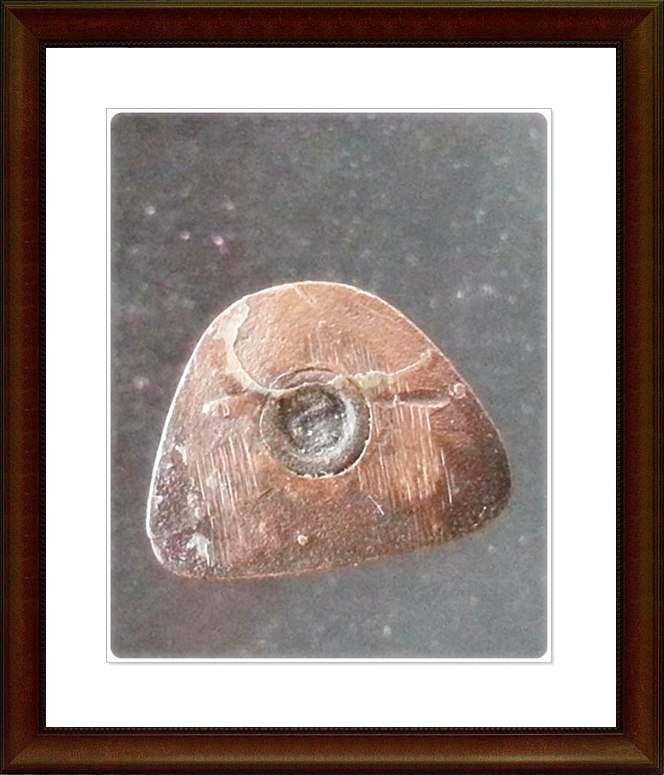 รูปเหมือนหลวงพ่อแช่ม วัดฉลอง 