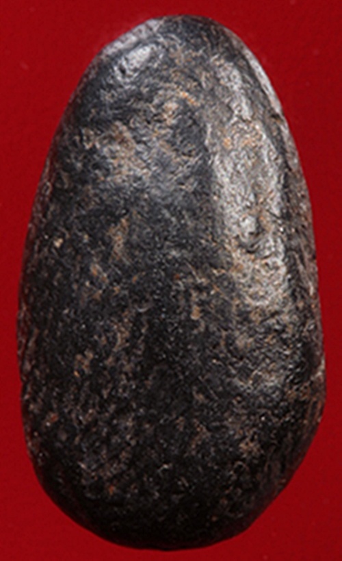 เม็ดน้อยหน่า กำแพงเพชร