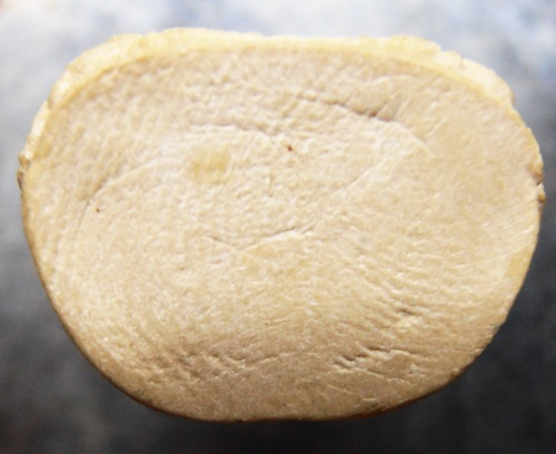 พระคำข้าวหลวงปู่หมุนหลวงปู่สรวงเสกสวยๆครับ