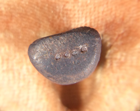 +++ ปิดตาชินบัญชรมงคลโสฬส หลวงปู่บัว (พิมพ์ใหญ่) เนื้อนวะ   +++