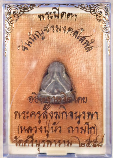 +++ ปิดตาชินบัญชรมงคลโสฬส หลวงปู่บัว (พิมพ์ใหญ่) เนื้อนวะ   +++