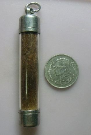 **วัดใจ**ตะกรุดหนังเสือ ขนาด 2.2 นิ้ว เลี่ยมสวยพร้อมใช้**พุทธคุณป้องกันเขี้ยวงา เป็นมหาอำนาจ