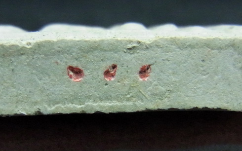 พระสมเด็จผงพรายกุมาร ตะกรุดเงิน หลังยันต์ห้า ปี52 หลวงพ่อสาคร ปลุกเสกในหอยันต์วัดหนองกรับ มีตอกโค๊ต 