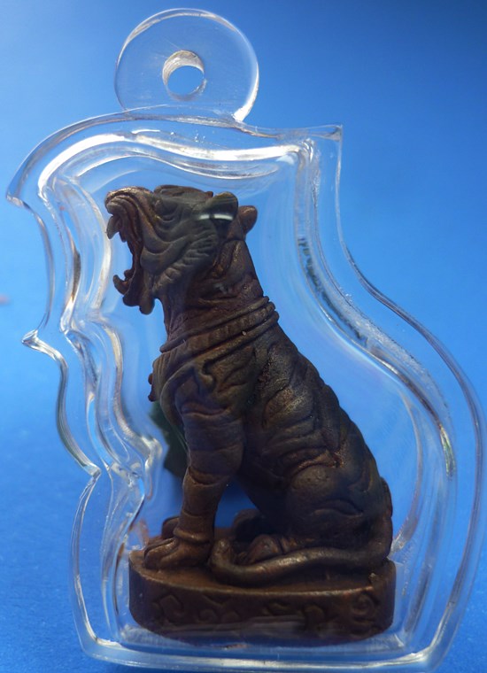 	เสือมหาอำนาจ อุดผงพรายกุมาร หลวงพ่อสาคร วัดหนองกรับ เนื้อสำริด เลี่ยมพร้อมบูชากล่องเดิม