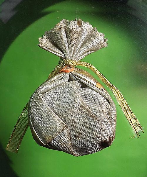 ถุงเงินถุงทองรวยทันใจ  หลวงปู่หมุน