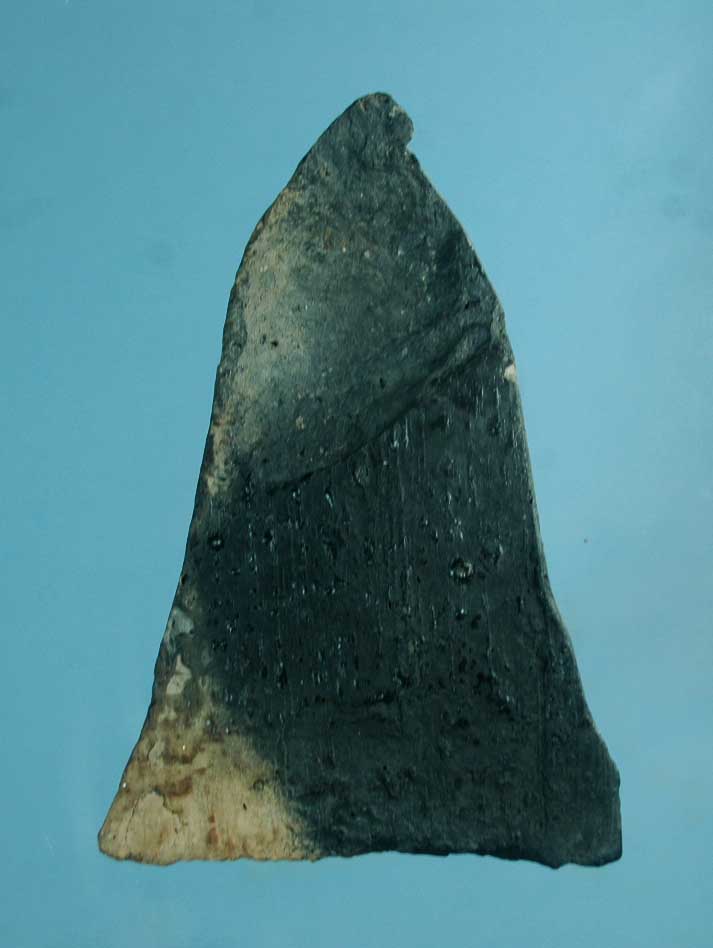 พระโคนสมอ ปางมารวิชัย เนื้อดิน จ.อยุธยา