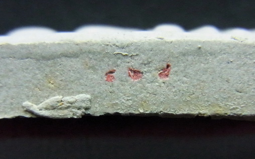 พระสมเด็จผงพรายกุมาร ตะกรุดเงิน หลังยันต์ห้า ปี52 หลวงพ่อสาคร ปลุกเสกในหอยันต์วัดหนองกรับ มีตอกโค๊ต 