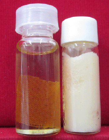 " น้ำมันงา จีวร  สีผึ้ง ยุคต้น หลวงปู่บัว ถามโก วัดศรีบูรพาราม จ.ตราด "