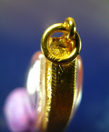  พระปรกใบมะขาม หลวงพ่อสาคร วัดหนองกรับ ปี 53 พร้อมเลี่ยมทองแท้สวยงาม#1