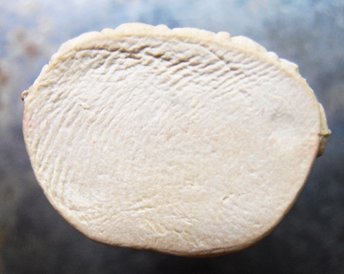 พระคำข้าวหลวงปู่หมุนหลวงปู่สรวงเสกสวยๆครับ