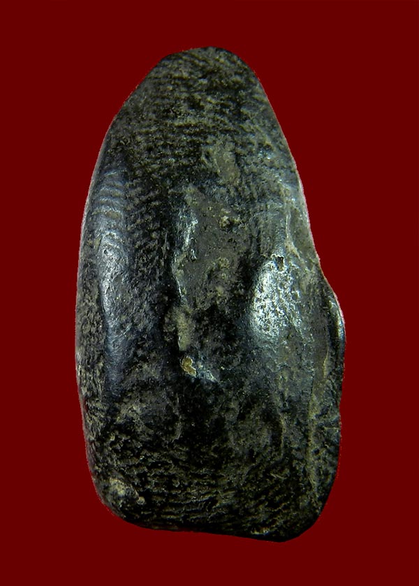 สิวลีหลวงพ่อกวย วัดโฆสิตาราม เคาะเดียวครับ 