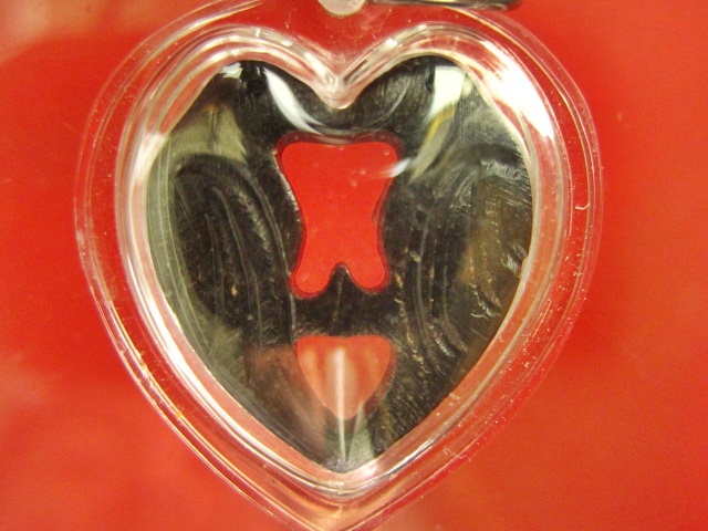 สาริกา แกะจากเขาควาย หลวงพ่อสิน วัดละหารใหญ่+สีผึ้ง