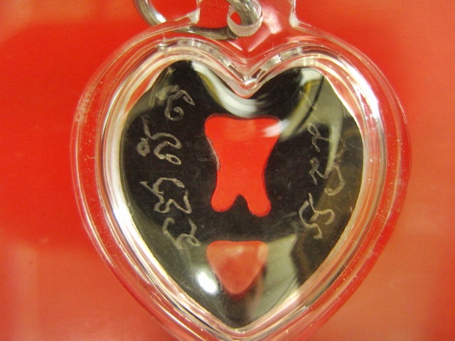 สาริกา แกะจากเขาควาย หลวงพ่อสิน วัดละหารใหญ่+สีผึ้ง