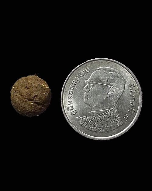 450 - ลูกอมยาฉุน หลวงพ่อสงฆ์ วัดเจ้าฟ้าศาลาลอย จ.ชุมพร