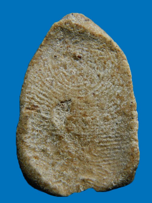 พระนาคปรก เนื้อผงน้ำมัน หลวงพ่อกวย เคาะเดียวแดง ค่ะ