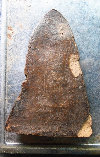 โคนสมอ เนื้อดินอยุธยา สวยๆครับ